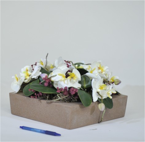 Laag bloemstuk met witte orchidee